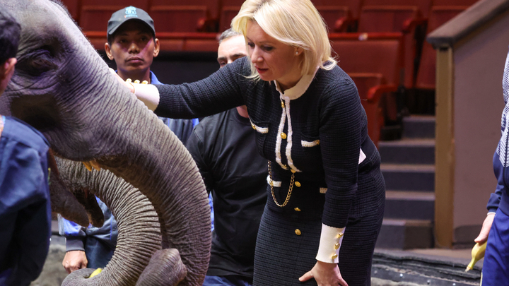 Шумите, небратцы, шумите: Захарова ответила провокаторам, почему её блог в Telegram не зарегистрирован в Роскомнадзоре