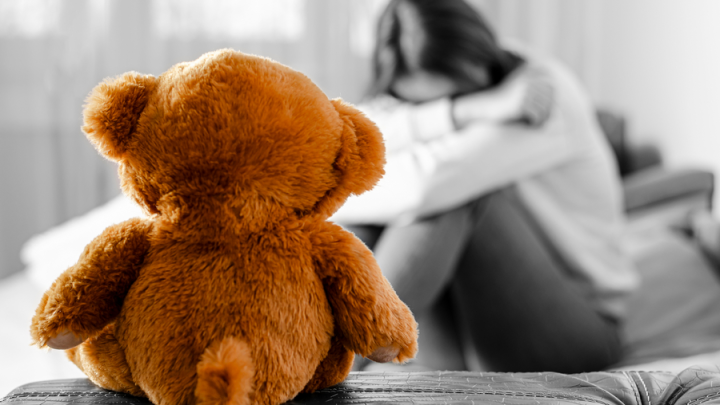 За что? В Омске две 13-летние школьницы напугали весь город своим зверским поступком