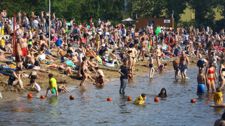 В водоёмах кроется утиный клещ: Врач рассказала, как избежать зуда купальщика