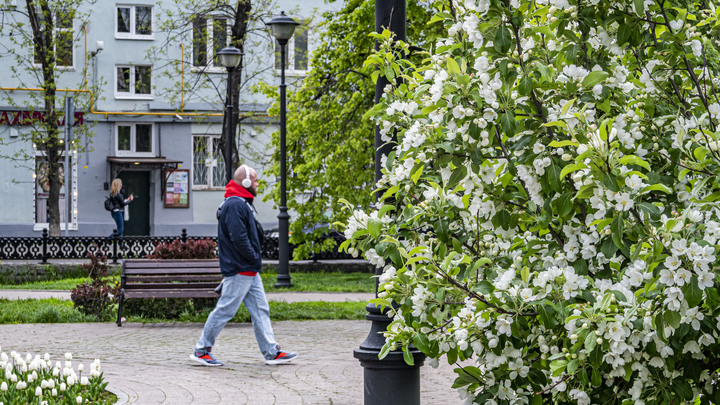 В Самаре нашли подрядчика для благоустройства парка Молодёжный. Цена вопроса — 157 млн