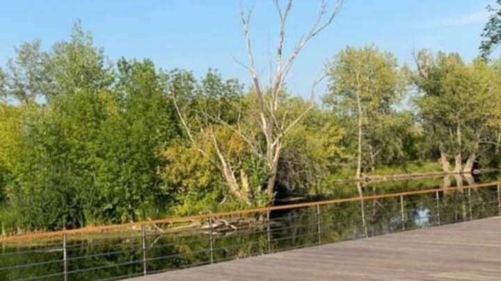 Голосование за проекты по благоустройству в Самаре началось 15 апреля