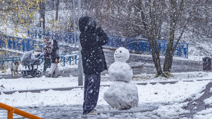 Вильфанд рассказал, какой будет зима в Москве