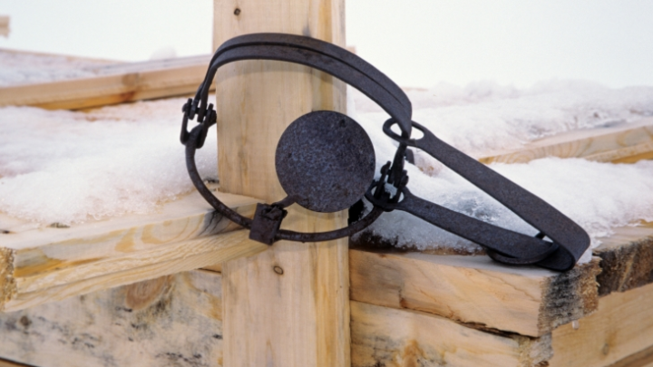 В Сочи обезвредили ловушки на зверей и людей, поставленные браконьерами