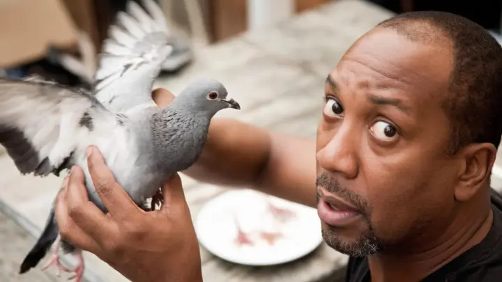 Это что — из голубей? Русское блюдо напугало Мита. А потом он и про «птичье молоко» узнал