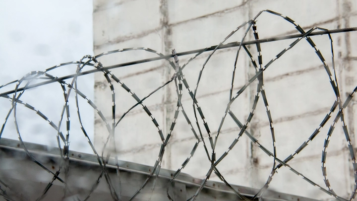 А икра с крабами — по режиму? Что продают донским зэкам в тюремных лавках