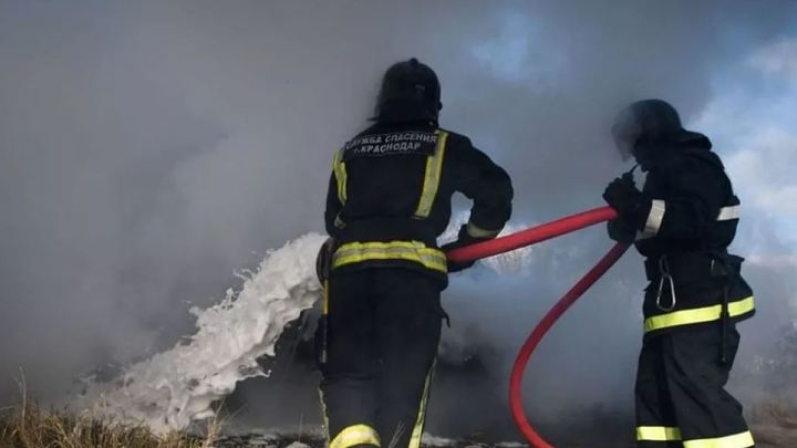 В Краснодаре из-за жары и ветра ввели особый противопожарный режим