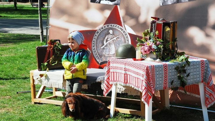 Украинцам стирают память: Зеленский вычеркнул День Победы из истории страны