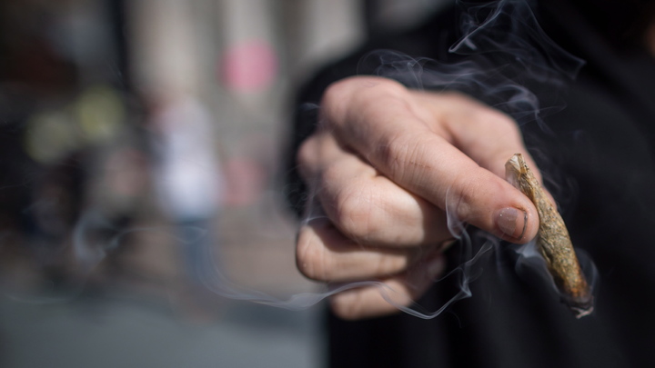 Полицейские изъяли наркотики у жителя Бердянска