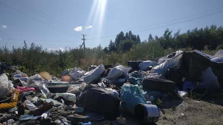 Мусорный полигон Левобережный в Новосибирске закроют через 1,5 года