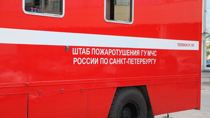 Мама, звони пожарным! В Петербурге микроавтобус загорелся прямо во дворе