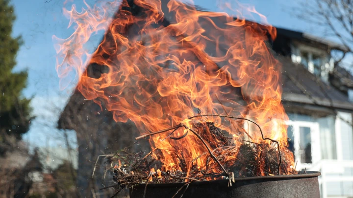 Дачников оштрафуют за мусор и костры на участках. Приняты новые правила