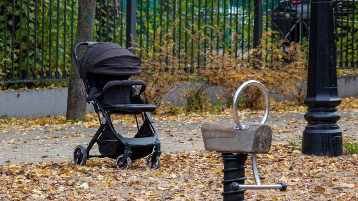 Моего ребёнка отдают в Нидерланды!: Ростовский суд лишает гражданку России сына в пользу гражданина Латвии. Крик души матери