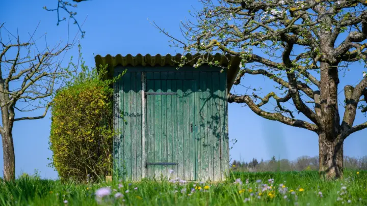 Дачникам объяснили, как не лишиться туалета по решению суда