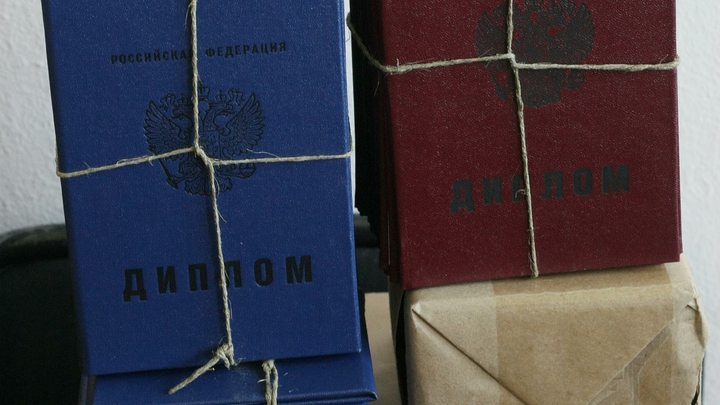 В Новосибирске выкинули на помойку красный диплом