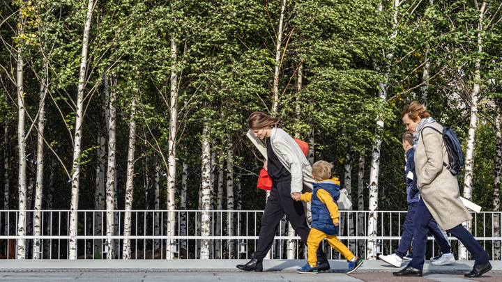 На Кубани ожидается потепление до +24°C, туман и сильный ветер