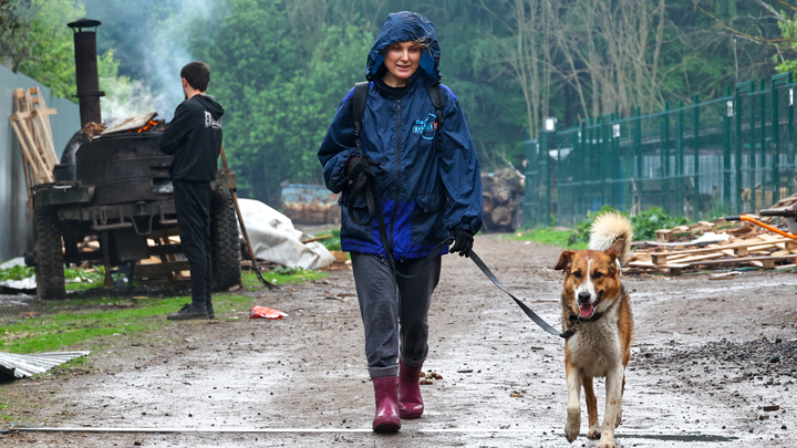В Сочи появился первый в крае муниципальный центр для бездомных животных