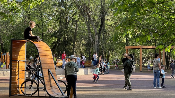 В Москве курьер помешал мигранту увести со двора чужого ребёнка