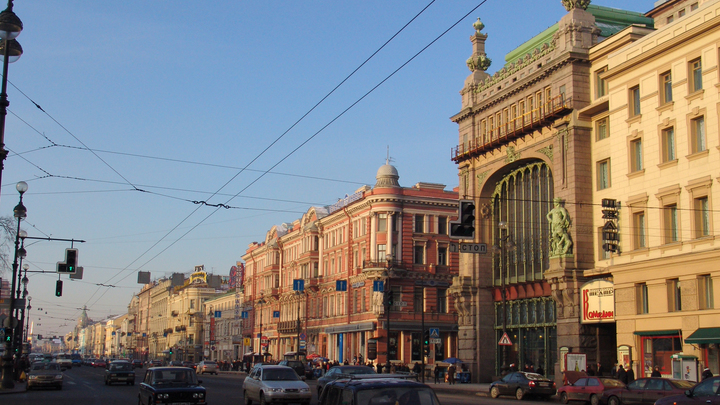 В Петербурге через суд восстановят сбитую с исторических домов лепнину на Петроградской стороне