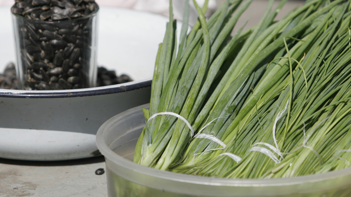 Лунный посевной календарь на 14 марта 2023: Удачные и неудачные дни для садоводов