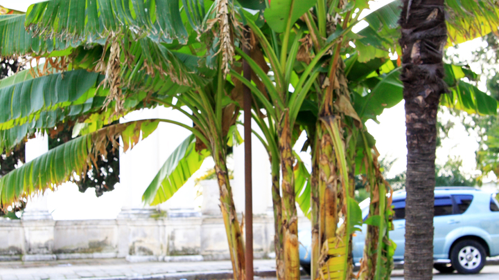 Сочи снова попал в ТОП-3 по аренде жилья на майские праздники