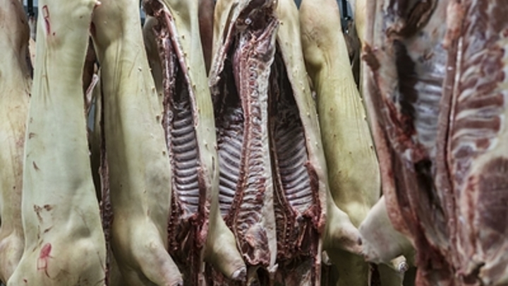 В Курганской области фермер незаконно забил своих свиней и баранов
