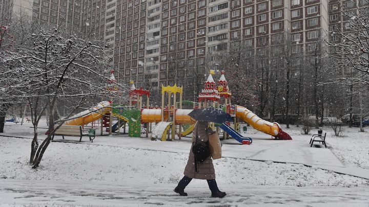 Ну какой же это снегопад?: Синоптик посмеялся над эмоциями москвичей о погоде