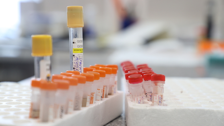 В Свердловской области люди начали массово заражаться свиным гриппом