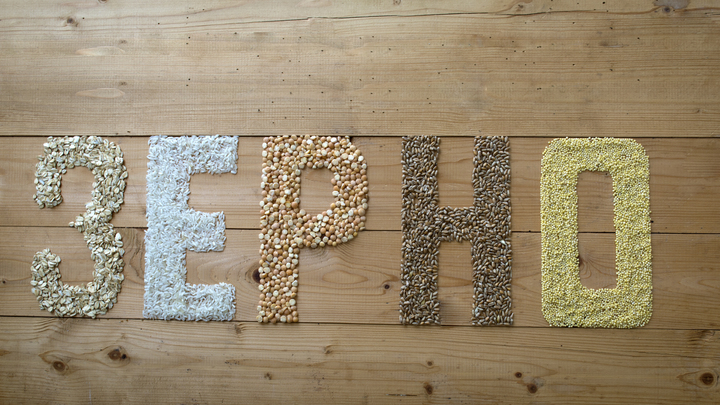 Зерновую сделку продлили на два месяца