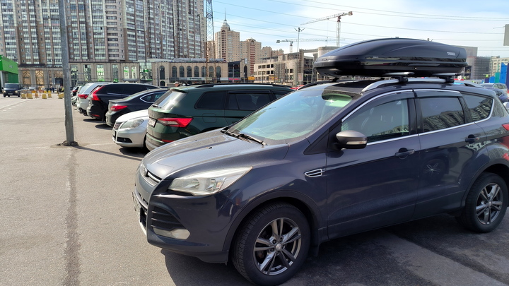 Приставы заставили жильцов многоэтажки в Новосибирске убрать лягушки во дворе
