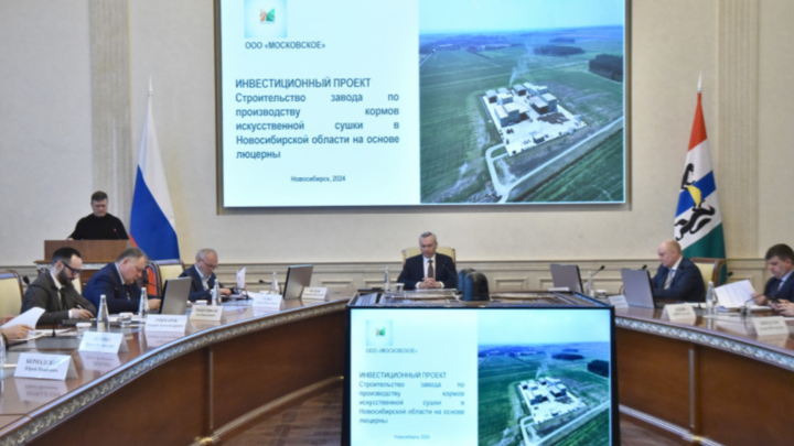Совет по инвестициям Новосибирской области поддержал создание новых предприятий