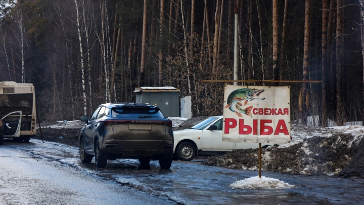 Психоневрологический интернат травит Клязьму? Владимирские рыбаки разоблачают слив стоков
