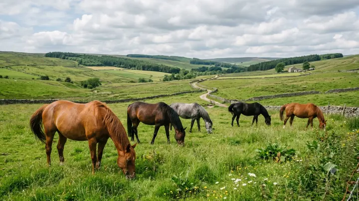 Портрет Дональда Трампа из конского навоза продали в Канаде за 1,8 тысячи долларов