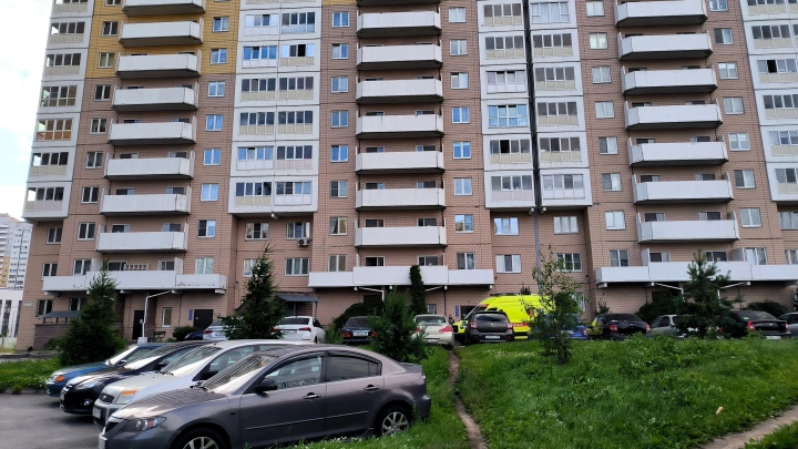 В Подмосковье ИИ начал отслеживать припаркованные на газонах автомобили