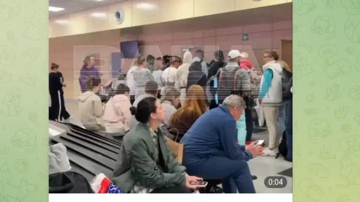 Сотни людей застряли в Домодедово на 4 часа без багажа: что произошло