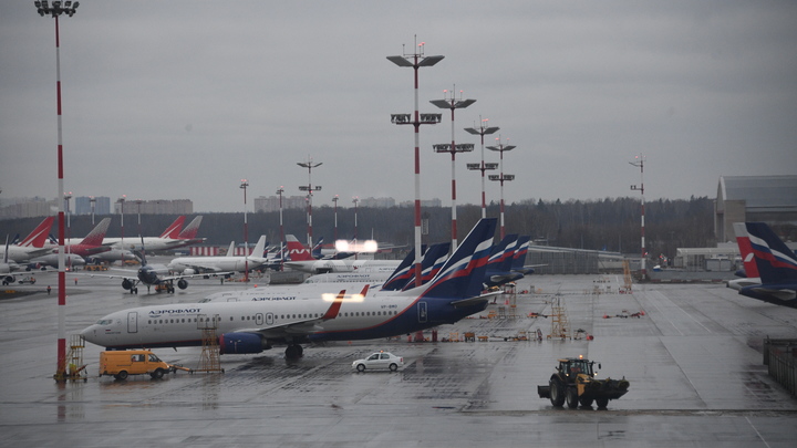 Виновника ДТП в Истре искали в Армении, а поймали в Шереметьеве