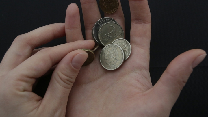 Житель Подмосковья продаёт одну копейку почти за семь миллиардов рублей