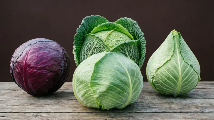 «Попробуйте ещё раз»: главврач подмосковной больницы советует лечиться капустой