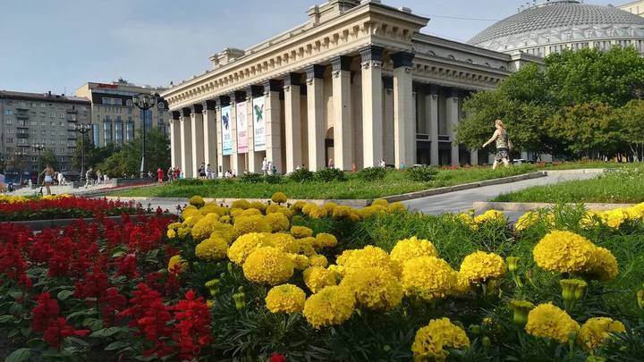 Клумбы в цветах флага России: В Новосибирске высадят свыше 330 тысяч цветов