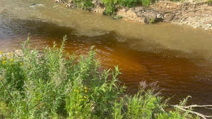 В Кузбассе проверяют информацию о загрязнении рек золотодобытчиками