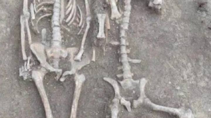 Медальон с изображением Афродиты и древние погребения: в Анапе обнаружили уникальные артефакты