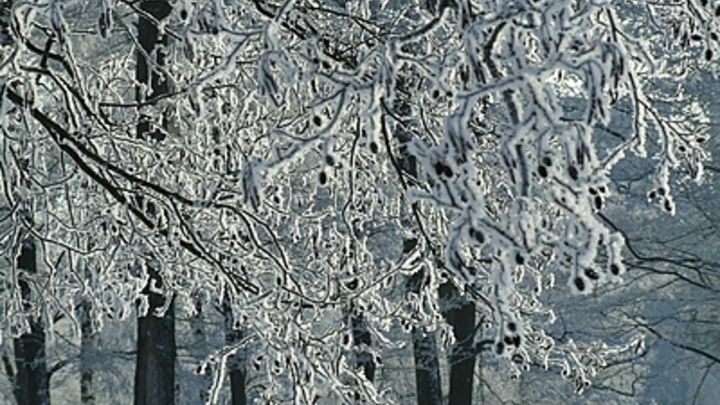 В Самарской области 10 января ожидается похолодание, а 11 января - снег
