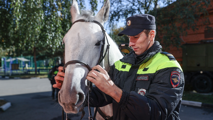 Дагестанские синагоги переданы под охрану полиции после беспорядков в Махачкале