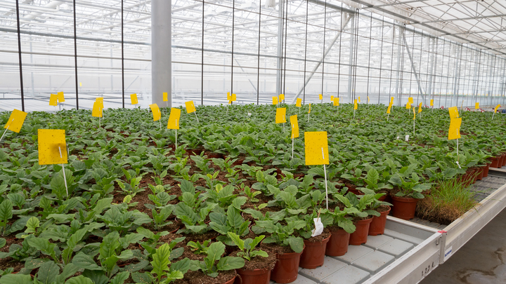 Юрист Коломийцев предупредил о штрафах до 7 тысяч за неправильное хранение удобрений