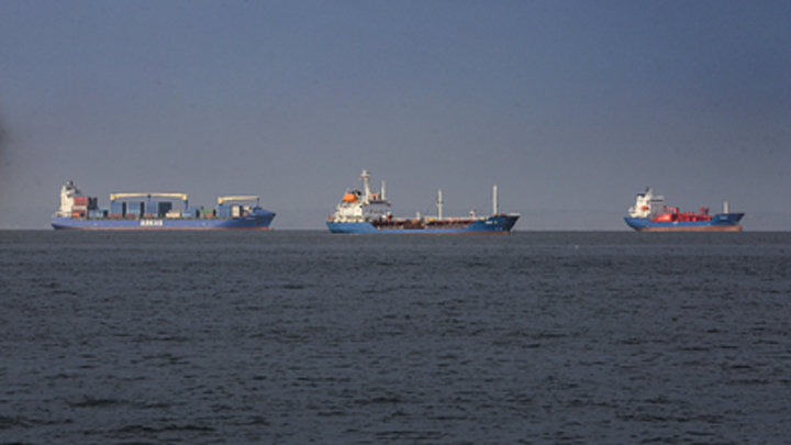 На Украине заявили о задержании в Турции судна с зерном из Бердянска