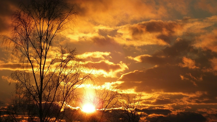 Синоптик Леус: солнечный ветер принес на Землю магнитную бурю класса G1