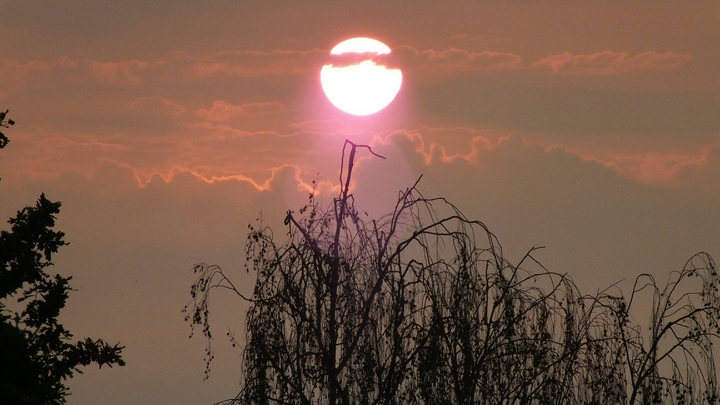 В Сочи объявили штормовое предупреждение из-за сильной жары