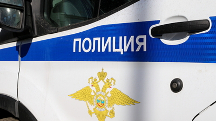 В Петербурге полиция задержала мигранта по делу о надругательстве над 11-летней девочкой