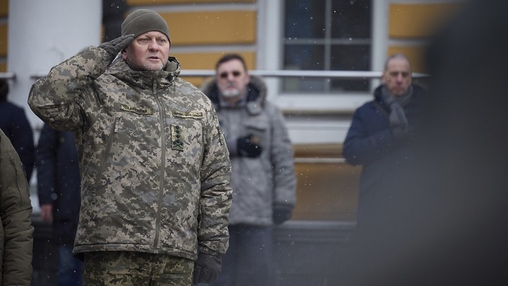 Кто на самом деле ликвидировал Залужного: Кнутов озвучил неожиданную версию