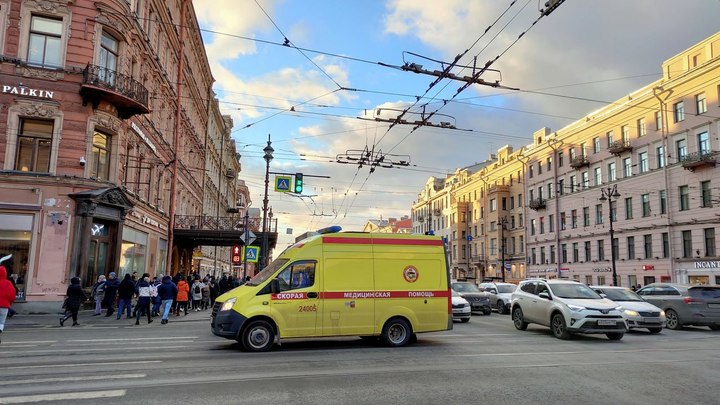 Опубликовано видео, как собака кусает полуторагодовалую девочку в Мурино:ребенок подошел к животному