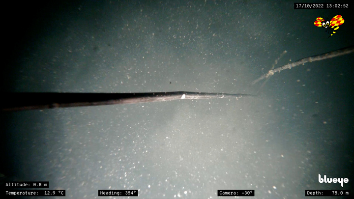 Теракт под чужим флагом: Раскрыта вся хронология подрывов Северных потоков